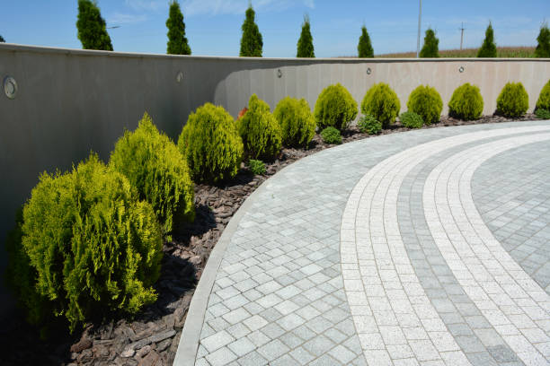 Best Residential Driveway Paver Services  in Mount Ephraim, NJ